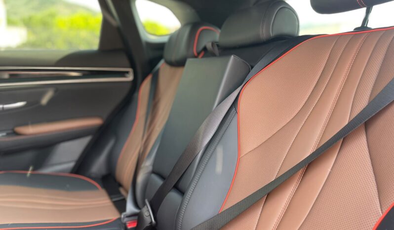 
								BYD SEAL U DM-I 1.5 PHEV BOOST 218CV full									