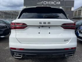 SWM G01 1.5 TURBO 133CV