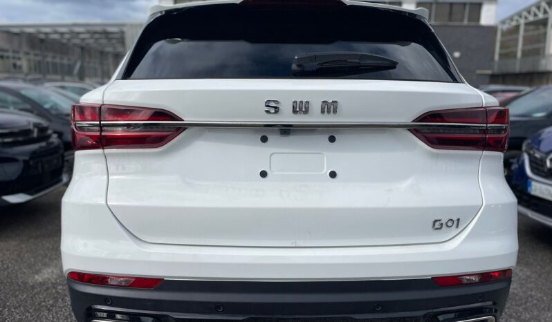
								SWM G01 1.5 TURBO 133CV full									