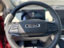 
										SWM G01 PRO 1.5TGDI 180CV full									