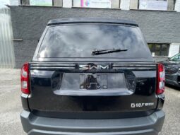 
										SWM G03 1.5 SUPER HYBRID 102CV full									