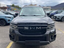 
										SWM G03 1.5 SUPER HYBRID 102CV full									