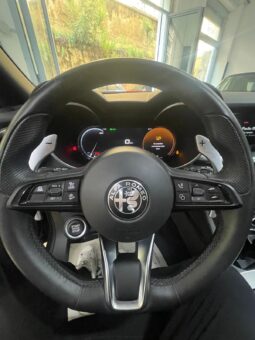 
										ALFA ROMEO STELVIO 2.2 TURBODIESEL SPRINT 160CV full									