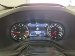 
										JEEP RENEGADE 1.6MJT LIMITED 130CV full									