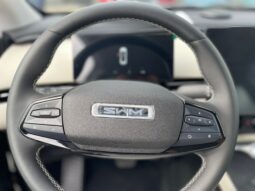 
										SWM G01 PRO 1.5TGDI  180CV full									