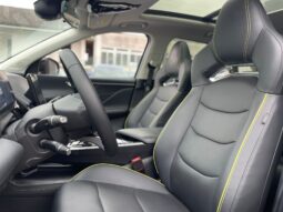 
										TIGER SIX 1.5TGDI GPL 177CV full									