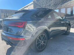
										AUDI Q5 2.0 S-LINE BLACK LINE 204CV full									