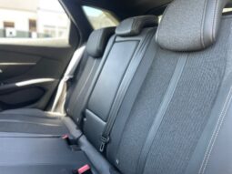 
										PEUGEOT 3008 1.5 BLUEHDI GT-LINE 130CV full									