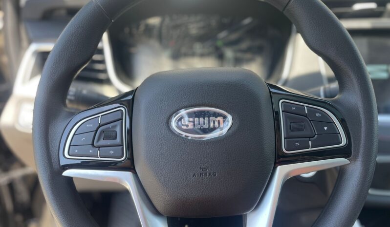 
								SWM G01 1.5 TURBO 133CV full									