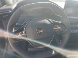 
										PEUGEOT 2008 1.2 PURETECH ACTIVE 100CV full									