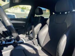 
										AUDI Q5 2.0 S-LINE BLACK LINE 204CV full									