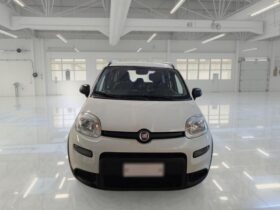 FIAT PANDA 1.0 FIREFLY HYBRID LIFE 70CV