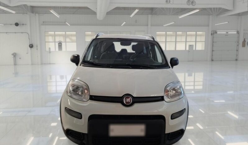 
								FIAT PANDA 1.0 FIREFLY HYBRID LIFE 70CV full									